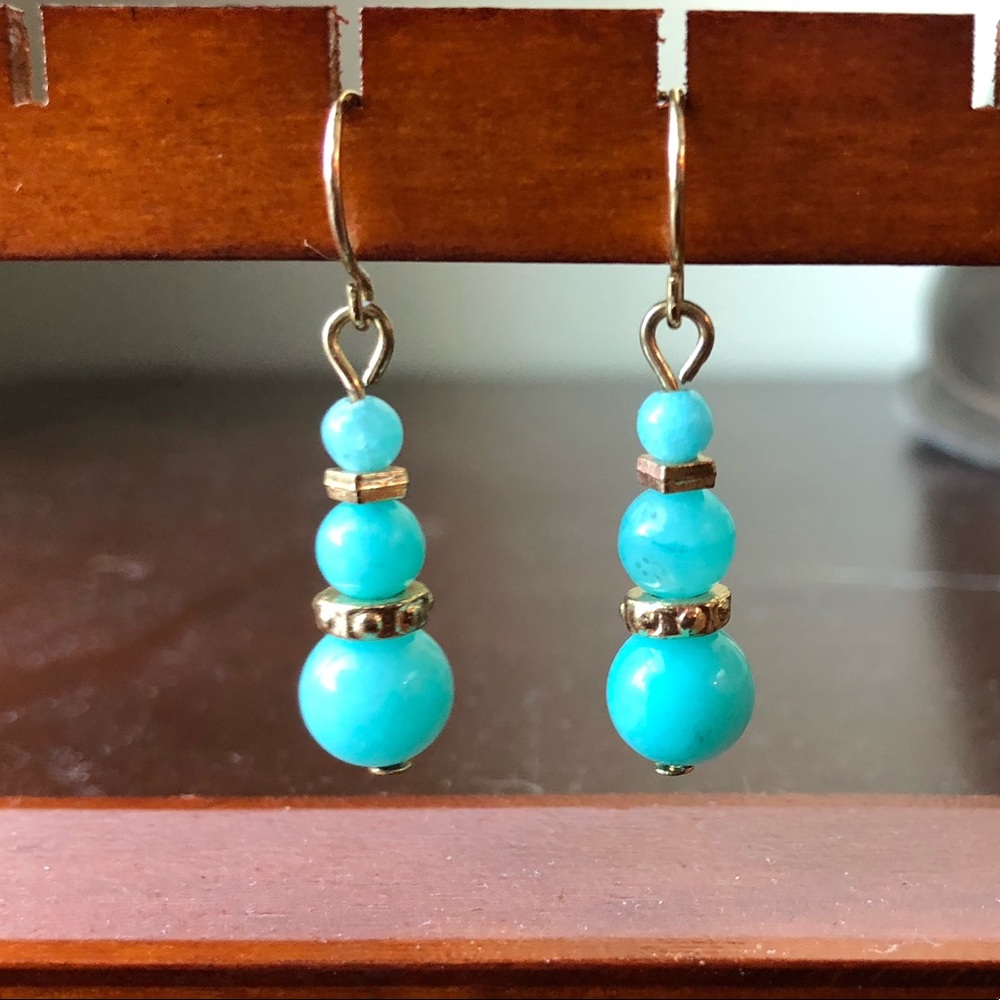 NWOT - Dangly earrings